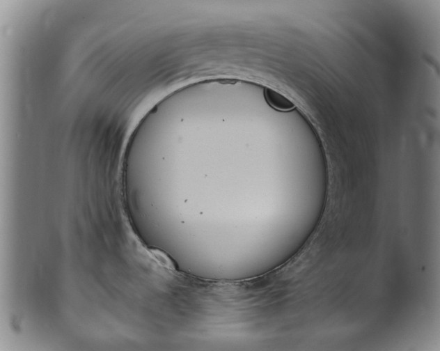 X0000101661536200807241406