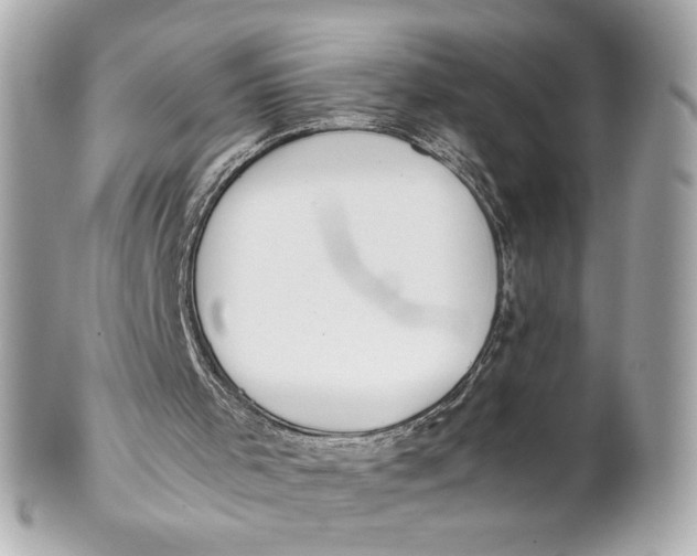 X0000101660001200807311445