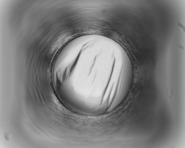 X0000101660002200807311445