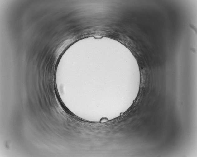 X0000101660003200807311445