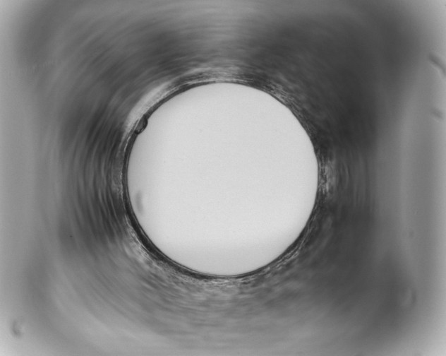 X0000101660004200807311445