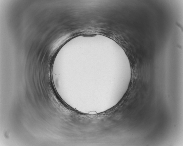 X0000101660005200807311445