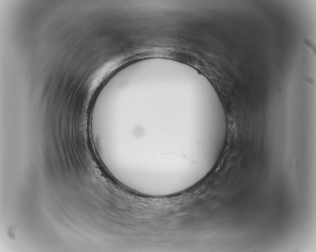 X0000101660006200807311445