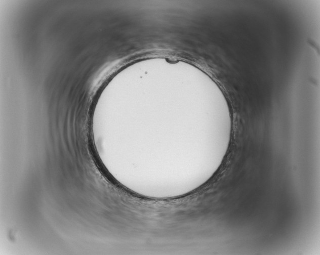 X0000101660007200807311445