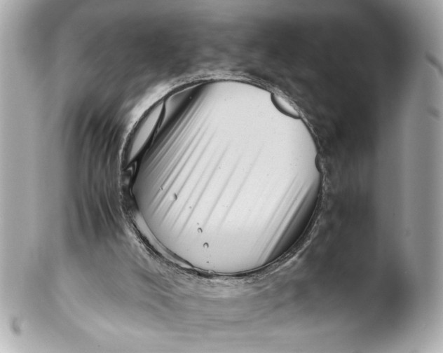 X0000101660008200807311445