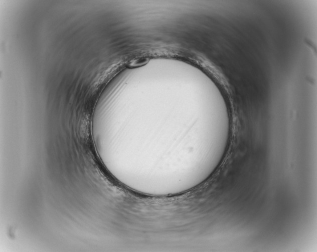 X0000101660009200807311445