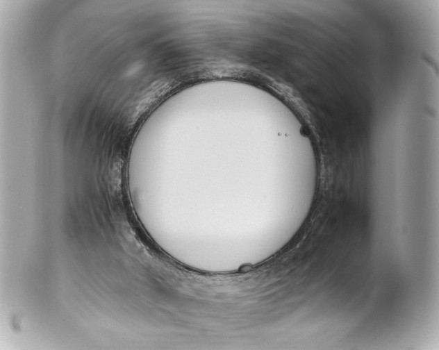 X0000101660010200807311445