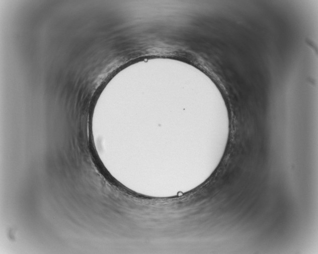 X0000101660011200807311445