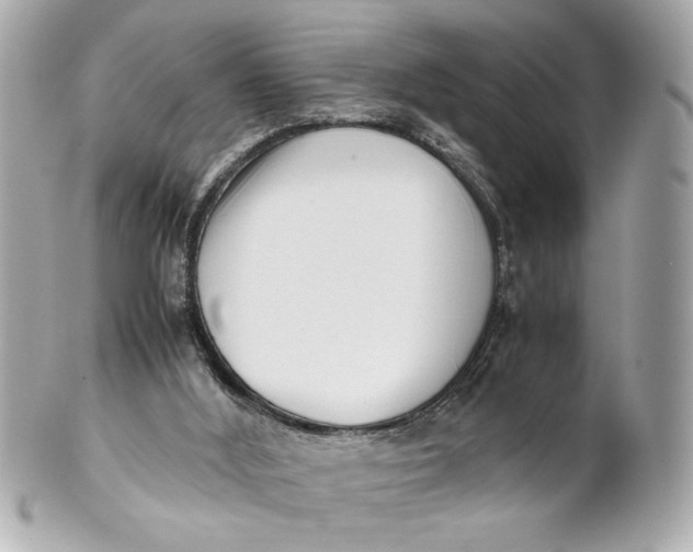 X0000101660012200807311445