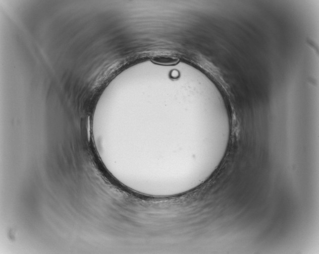 X0000101660013200807311445