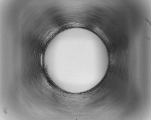 X0000101660014200807311445