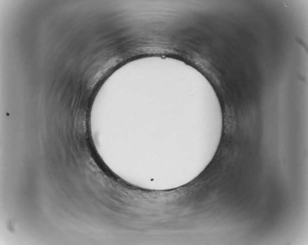 X0000101660015200807311445