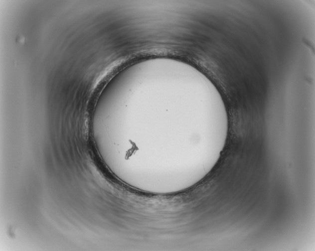 X0000101660016200807311445