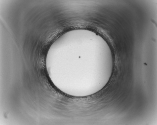 X0000101660017200807311445