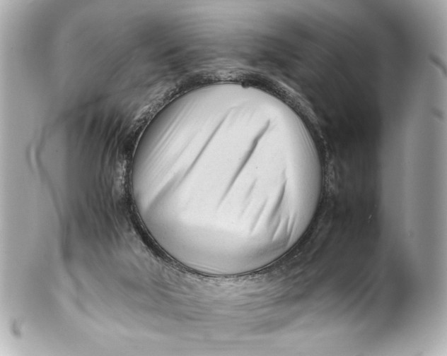 X0000101660018200807311445