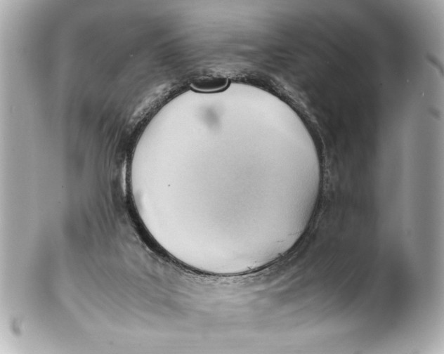 X0000101660019200807311445