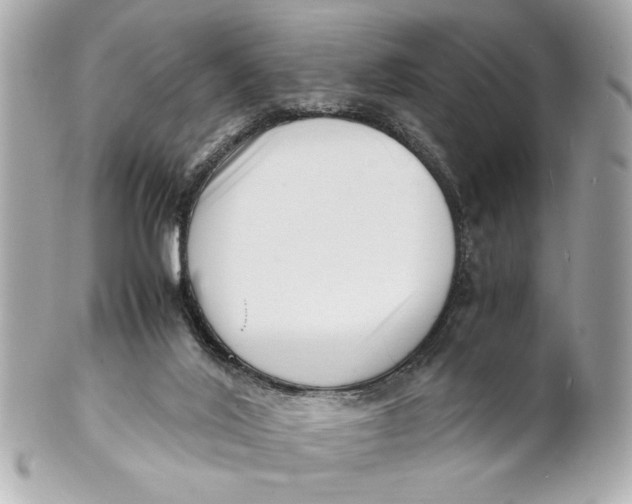 X0000101660020200807311445