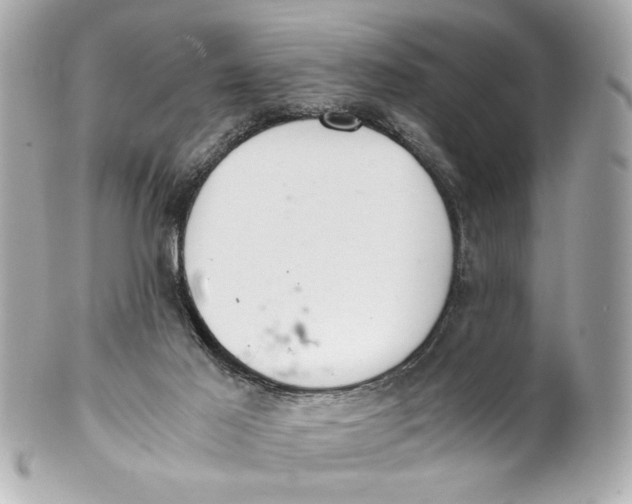 X0000101660021200807311445