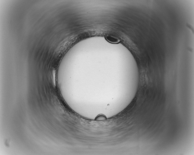 X0000101660022200807311445