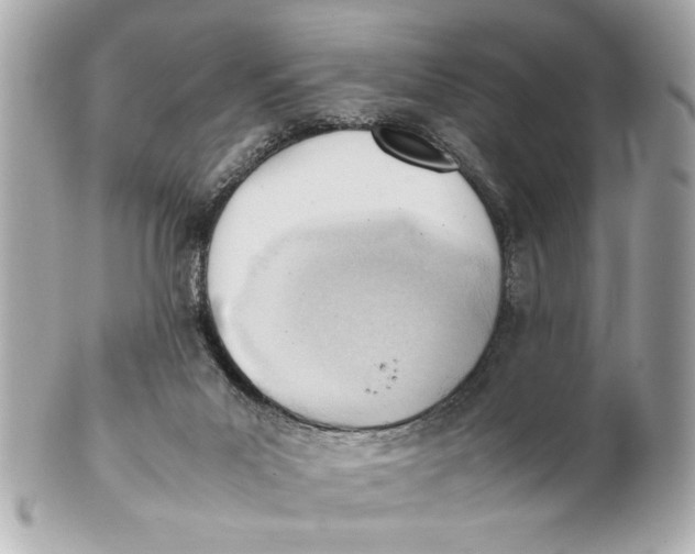 X0000101660023200807311445