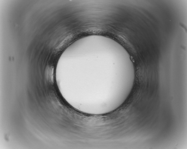 X0000101660024200807311445