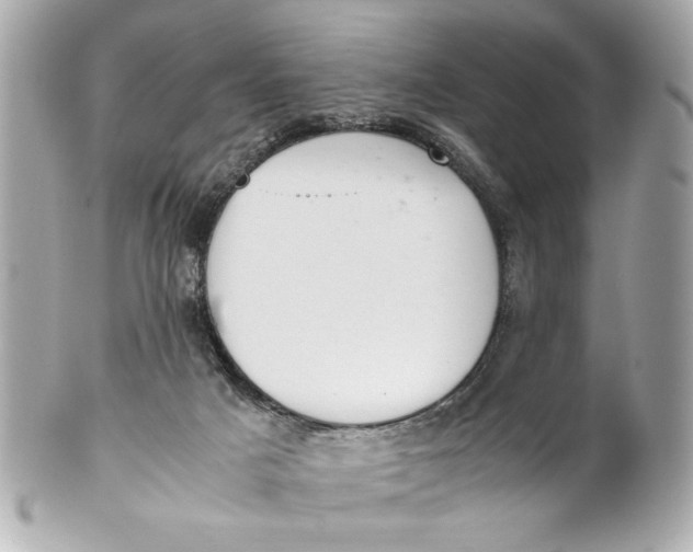 X0000101660025200807311445