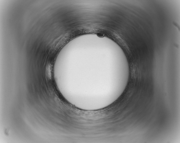 X0000101660026200807311445