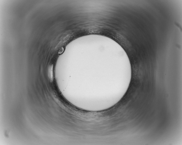 X0000101660028200807311445