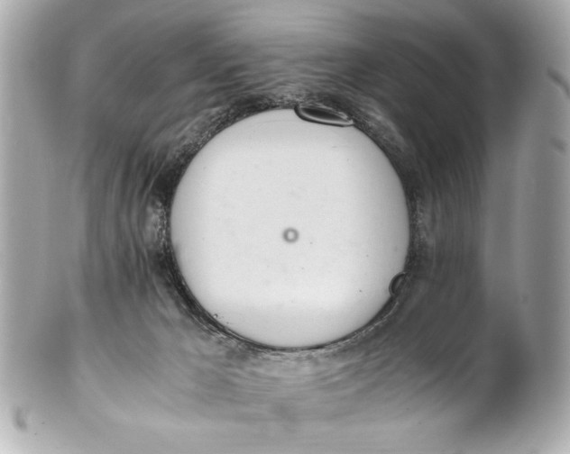 X0000101660029200807311445