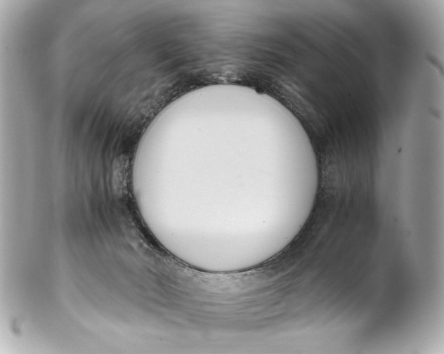 X0000101660030200807311445