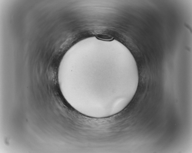 X0000101660031200807311445