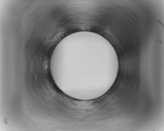 X0000101660032200807311445