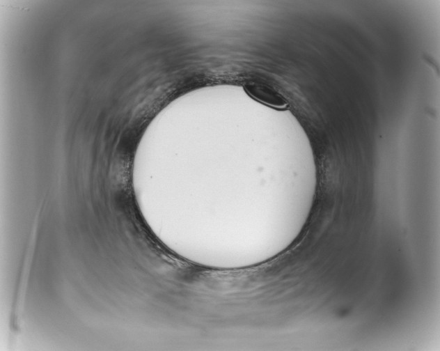 X0000101660033200807311445