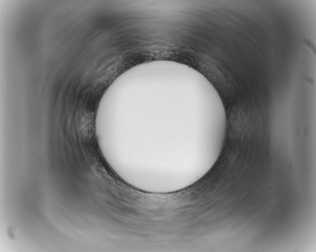 X0000101660034200807311445