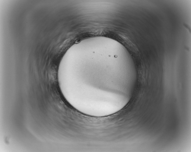 X0000101660035200807311445