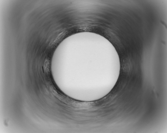 X0000101660036200807311445