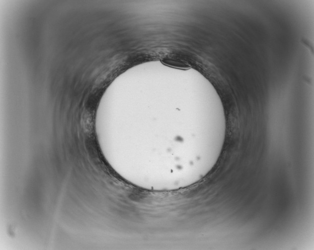 X0000101660037200807311445