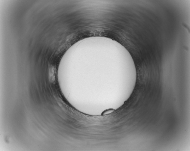 X0000101660038200807311445