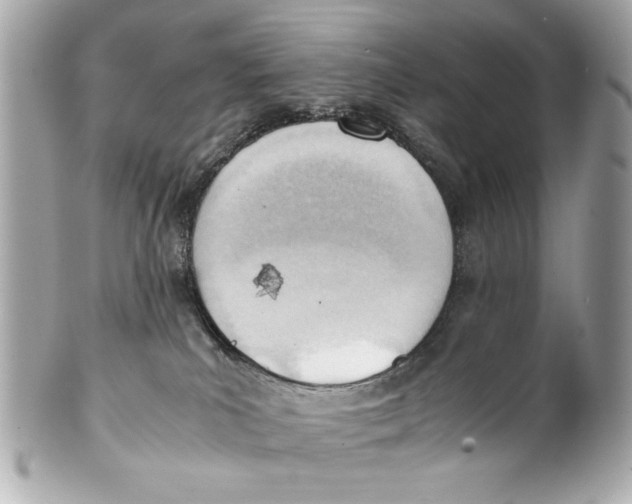 X0000101660039200807311445