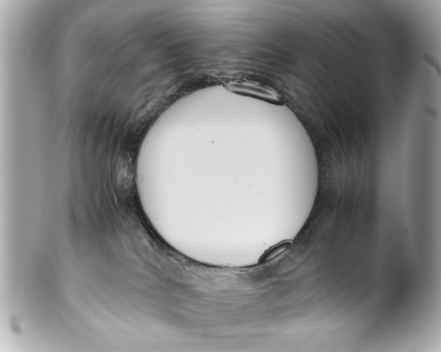 X0000101660040200807311445