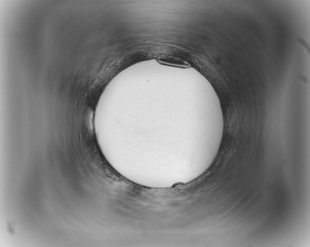 X0000101660041200807311445