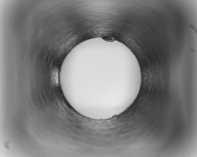 X0000101660042200807311445