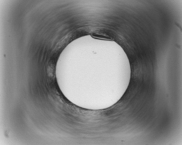 X0000101660044200807311445