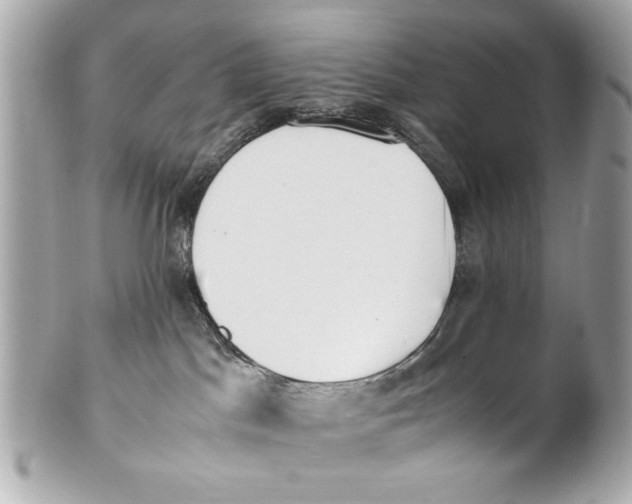 X0000101660045200807311445