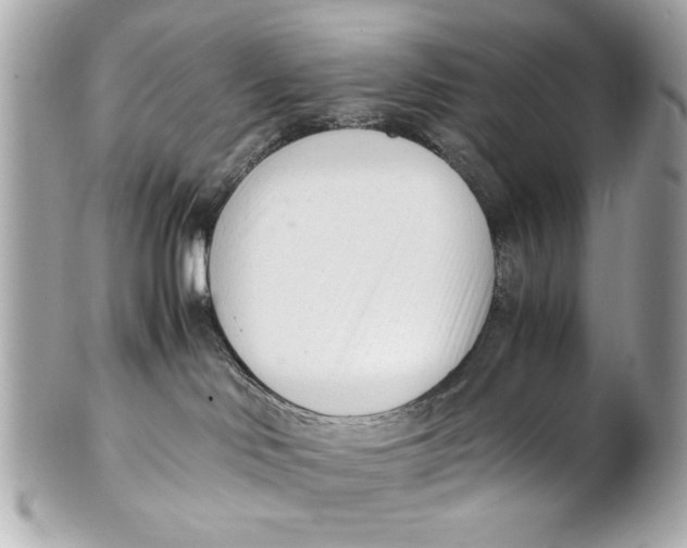 X0000101660046200807311445