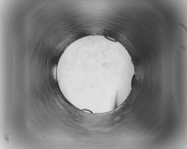 X0000101660047200807311445