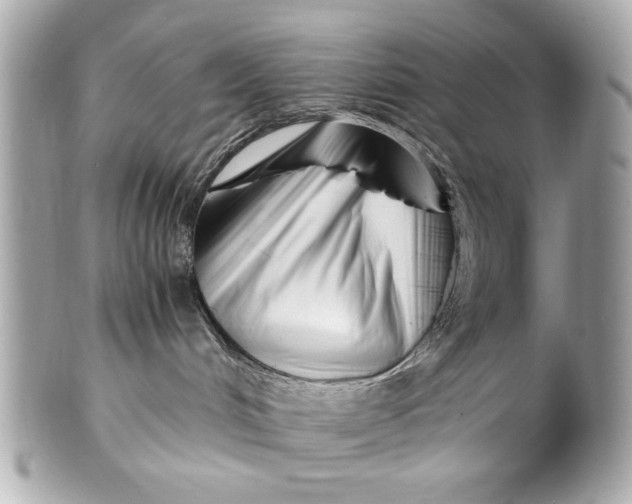 X0000101660048200807311445