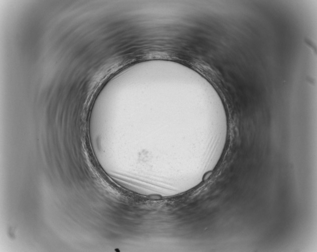 X0000101660049200807311444