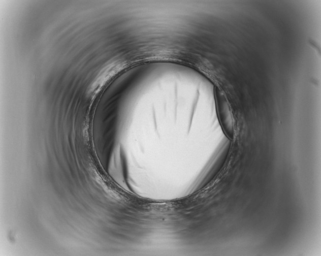 X0000101660050200807311444