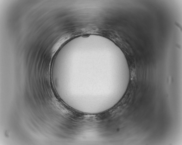 X0000101660052200807311444